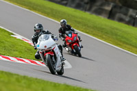 Oulton-Park-21st-March-2020;PJ-Motorsport-Photography-2020;anglesey;brands-hatch;cadwell-park;croft;donington-park;enduro-digital-images;event-digital-images;eventdigitalimages;mallory;no-limits;oulton-park;peter-wileman-photography;racing-digital-images;silverstone;snetterton;trackday-digital-images;trackday-photos;vmcc-banbury-run;welsh-2-day-enduro